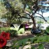 Camping Lacona Pineta (LI) Toscana