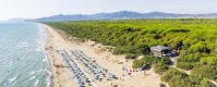 Spiaggia con ombrelloni allineati, mare a sinistra e foresta a destra.