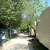 Sentiero alberato con caravan e tende ai lati.