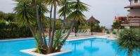Piscina azzurra con una palma centrale, lettini intorno e strutture in legno sullo sfondo.