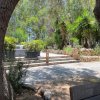 Giardino con piante tropicali, vialetto lastricato e panchina, circondato da alberi.