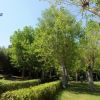 Ampio prato con alberi alti e siepi verdi sotto un cielo azzurro.