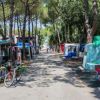 Un campeggio con biciclette e tende tra gli alberi.