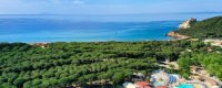 Spiaggia e pini in un paesaggio costiero.