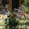 Camping Villaggio Delle Rose (TE) Abruzzo