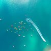 Mare con kayak e scia di acqua di una barca.