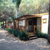 Bungalow in legno tra alberi e vialetto ghiaioso.
