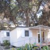 Casa mobile con veranda immersa tra gli alberi.