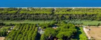 Vista aerea di una zona costiera con pineta, spiaggia e mare blu.