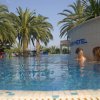 Piscina all'aperto con palme e persone che nuotano.