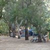 Campeggio con tende, biciclette e alberi.