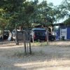 Tende e auto vicine a piccoli alberi.