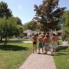 Persone camminano su un vialetto in un giardino.