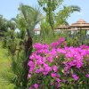 Lido Villaggio Il Ragno (LT) Lazio