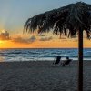 Villaggio Camping Mimosa (VV) Calabria