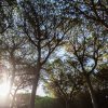 Camping Village Il Sole (GR) Toscana