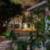 Camping Village Il Sole (GR) Toscana