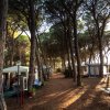Camping Village Il Sole (GR) Toscana
