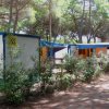 Camping Village Il Sole (GR) Toscana