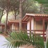 Camping Village Il Sole (GR) Toscana