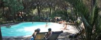 Piscina tra alberi con persone che nuotano e prendono il sole.