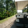 Golf cart su un sentiero con vegetazione rigogliosa.
