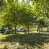 Area campeggio con alberi e roulotte.