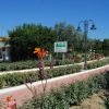Vialetto fiorito con lampioni e giardino.
