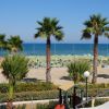 Palme e ombrelloni su una spiaggia soleggiata.