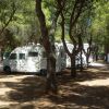 Cala Dei Ginepri Villaggio Camping (BR) Puglia