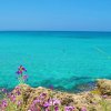 Baia Di Gallipoli Camping Resort (LE) Puglia