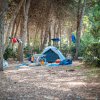 Tenda da campeggio sotto alberi con panni stesi.