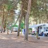 Camper parcheggiati sotto alberi in campeggio.
