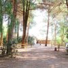 Area camper in un bosco ombreggiato.