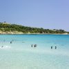 Persone che nuotano in mare limpido e azzurro vicino a una costa verde.