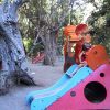 Parco giochi con scivolo colorato e un grande albero accanto.
