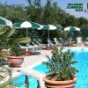 Piscina con lettini e ombrelloni verdi.