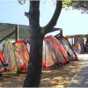 Attrezzature da windsurf accanto a un percorso alberato.