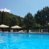 Piscina azzurra, circondata da alberi e ombrelloni bianchi.
