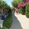 Sentiero tra bungalow e fiori colorati con persone che camminano.