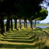 Viale alberato con vista sul lago.