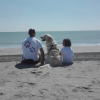 Persona e cane seduti sulla sabbia guardano il mare.