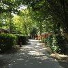 Sentiero ombreggiato tra bungalow immersi nel verde.