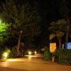 Sentiero illuminato di notte con alberi e arbusti.