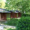 Bungalow immersi nel verde con alberi e arbusti.