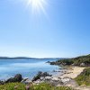 Spiaggia con fiori e sole splendente.