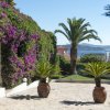 Viale con palme e bouganville, vista mare.