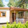 Camping Le Palme (LI) Toscana