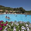 Piscina all'aperto fiorita.