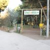 Area per cani in un parco alberato.